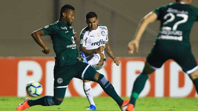 Goias vs Palmeiras, 7h ngày 22/11: Cơ hội cho chủ nhà