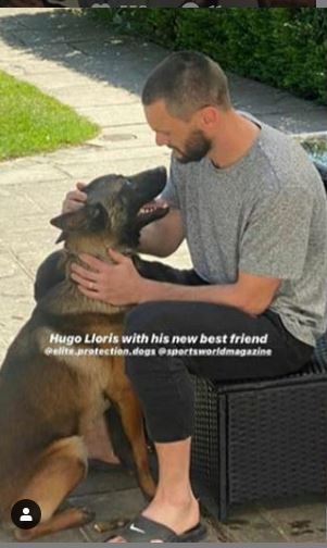 Học Pogba, Hugo Lloris bạo chi mua chó bảo vệ gia đình